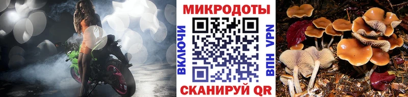 Псилоцибиновые грибы Psilocybine cubensis Оренбург