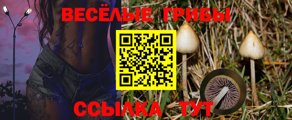 Оренбург  Псилоцибиновые грибы Magic Shrooms  Вход с VPN 