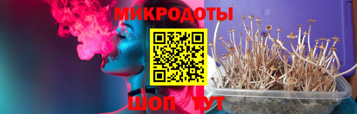 Псилоцибиновые грибы GOLDEN TEACHER Оренбург
